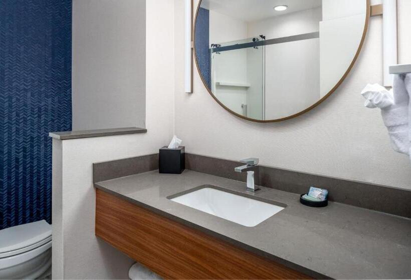 Номер Стандарт, Fairfield By Marriott Inn & Suites Albertville