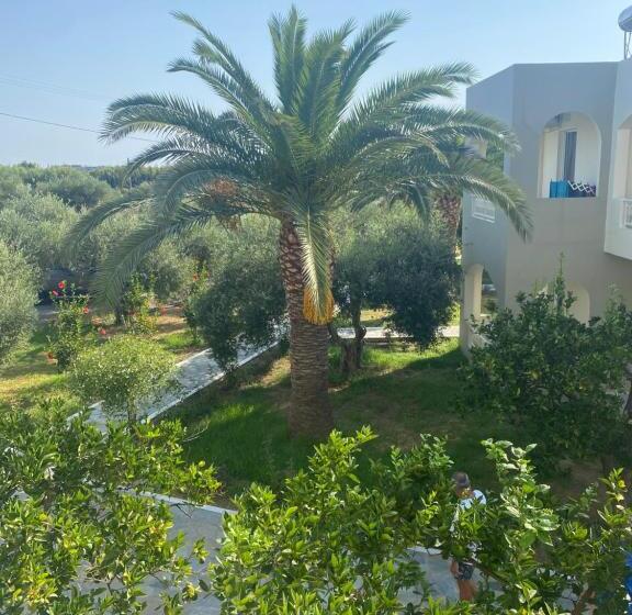 استودیوی استاندارد, Vardis Olive Garden