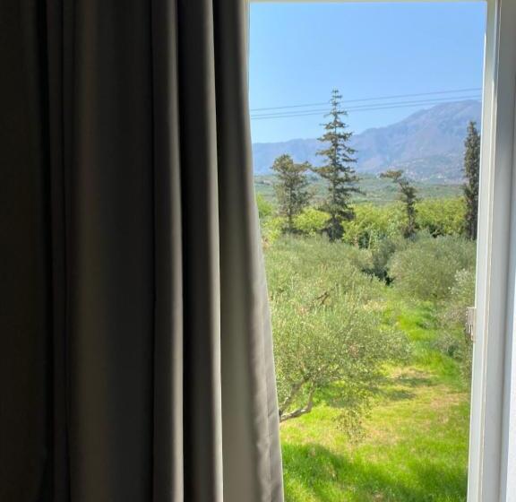 استودیوی استاندارد, Vardis Olive Garden