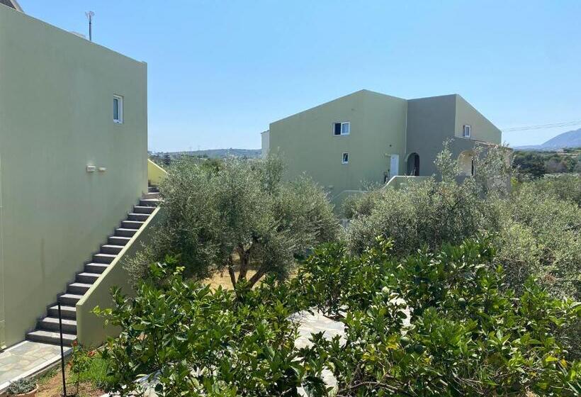 استودیوی استاندارد, Vardis Olive Garden