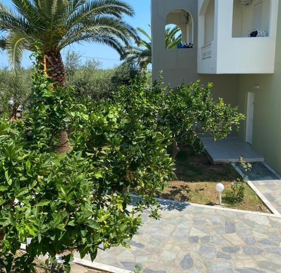 استودیوی استاندارد, Vardis Olive Garden