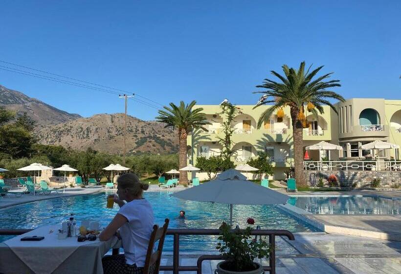 استودیوی استاندارد, Vardis Olive Garden