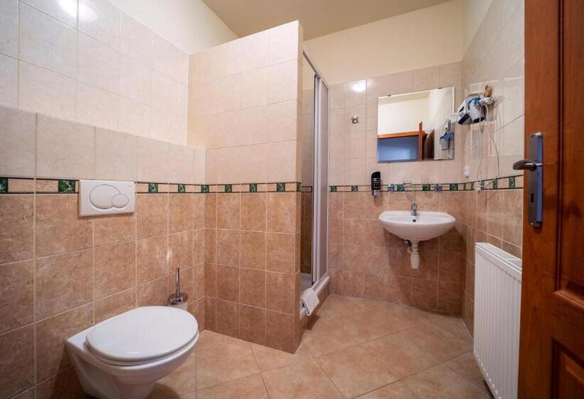 اتاق استاندارد, Valnovka Wellness