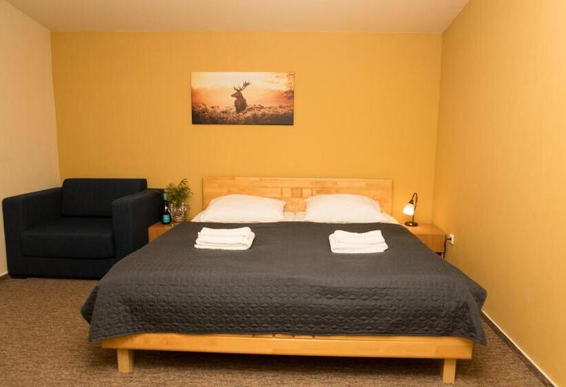 اتاق استاندارد, Valnovka Wellness