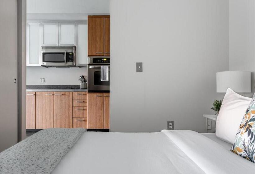 استودیوی استاندارد, Locale Lofts The Gulch   Nashville
