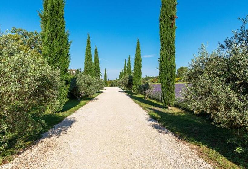 Стандартный Номер Кровать Кинг, Bastide De Damien