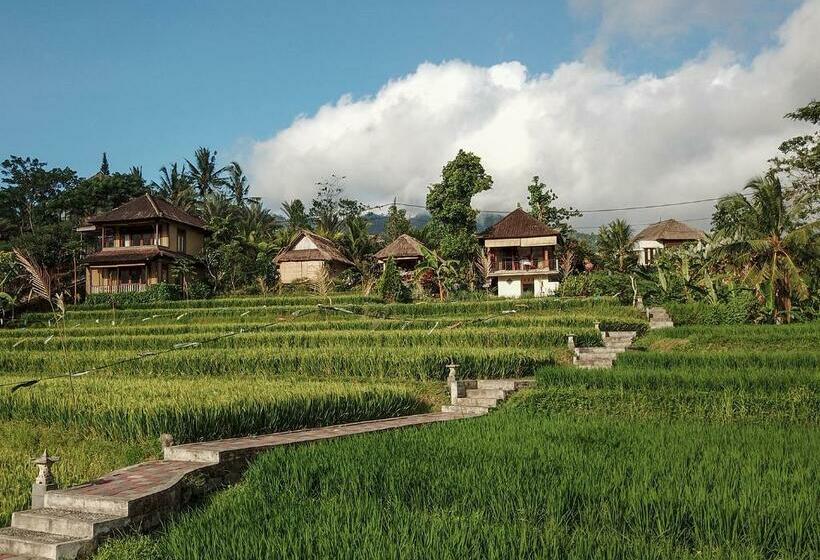 스탠다드 방갈로, Embang Homestay
