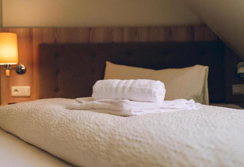 اتاق استاندارد یک نفره, Adelheid Hotel Garni