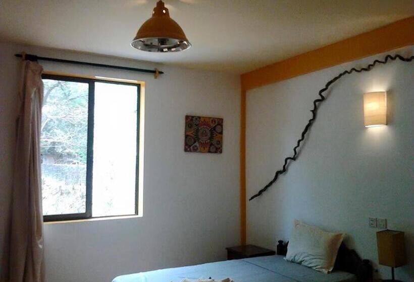 اتاق اکونومی, Auberge De La Plage