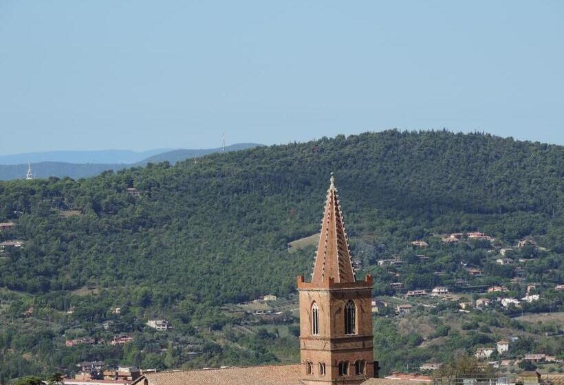 استودیوی سوپریور, Signa