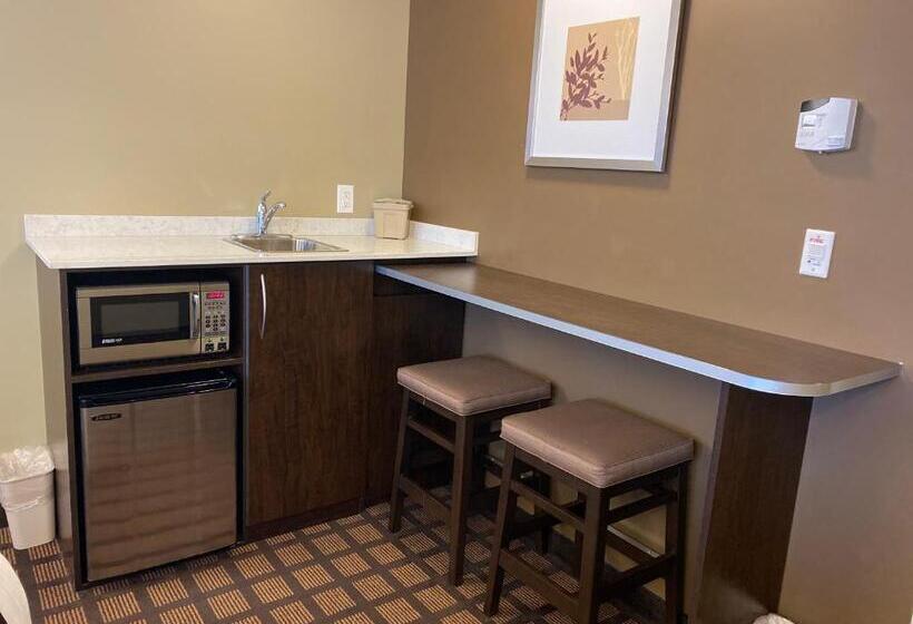 Номер Deluxe, Microtel Inn & Suites By Wyndham Timmins