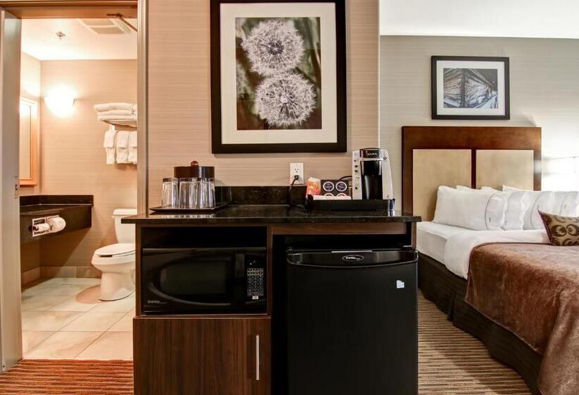 ファミリールーム, Canalta Hotel Shaunavon
