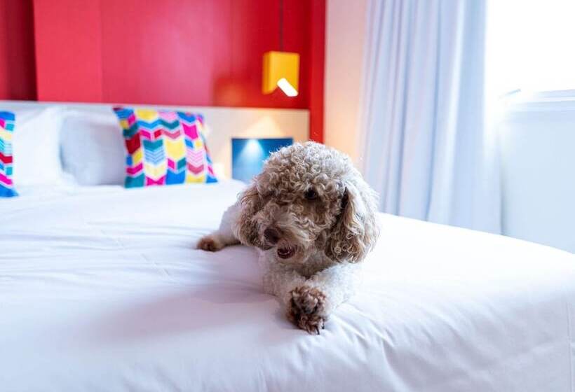 آپارتمان 1 خوابه, Ibis Styles Campina Grande