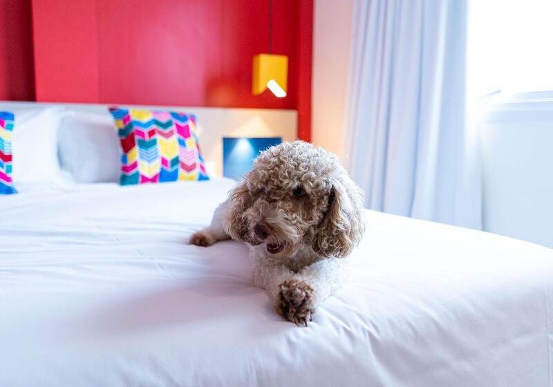 آپارتمان 1 خوابه, Ibis Styles Campina Grande