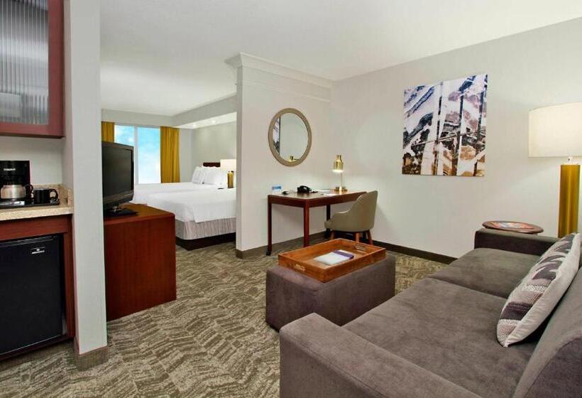 베이직 스튜디오, Springhill Suites Chesapeake Greenbrier