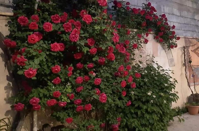 اتاق لوکس با تخت بزرگ, Monument Guesthouse