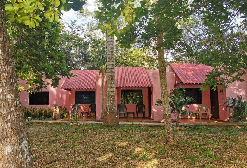 اتاق استاندارد, Doralba Inn Chichen
