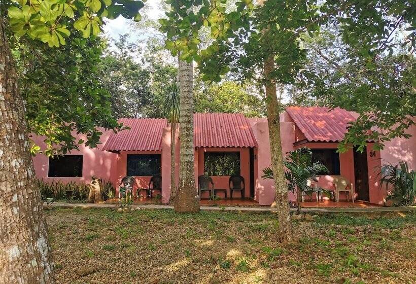 اتاق استاندارد, Doralba Inn Chichen