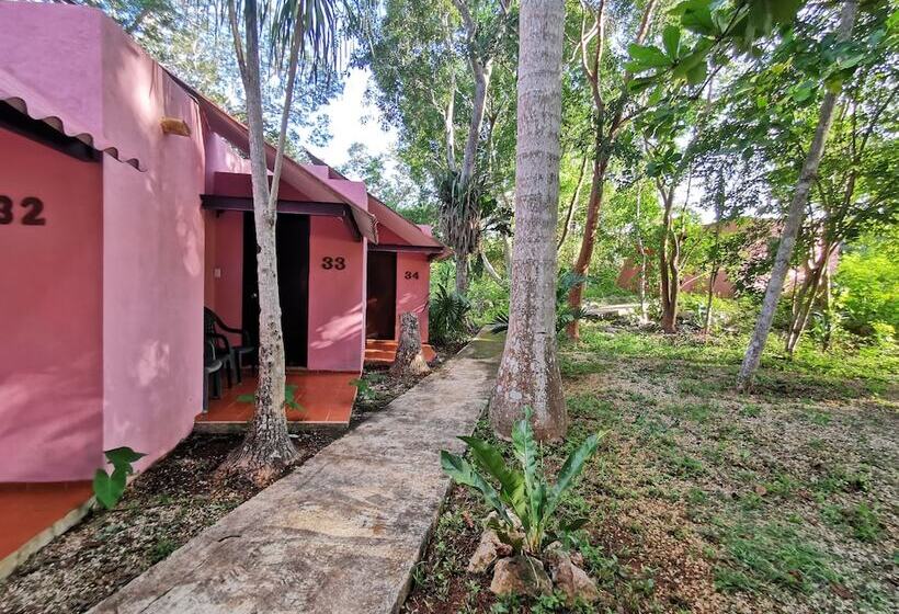 اتاق استاندارد, Doralba Inn Chichen
