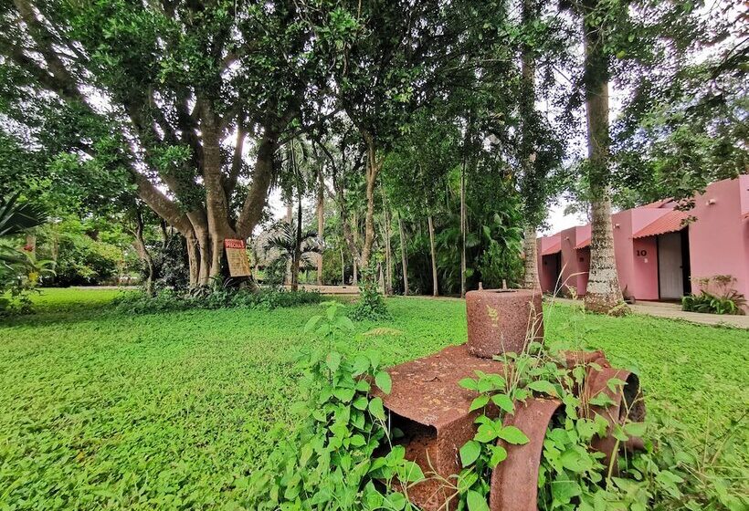 اتاق استاندارد, Doralba Inn Chichen