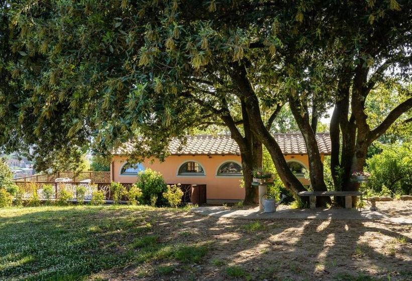 带景观的三人标准房间, Agriturismo Bellandi
