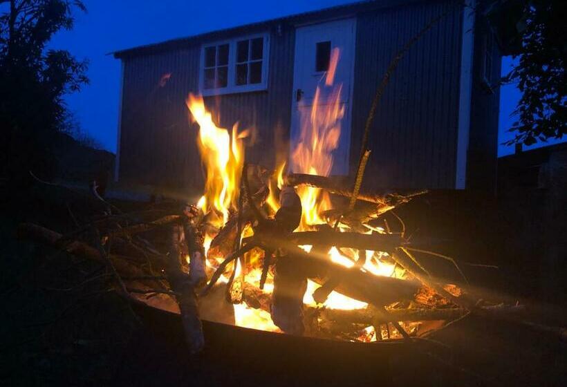 Номер Стандарт, Miners Hut