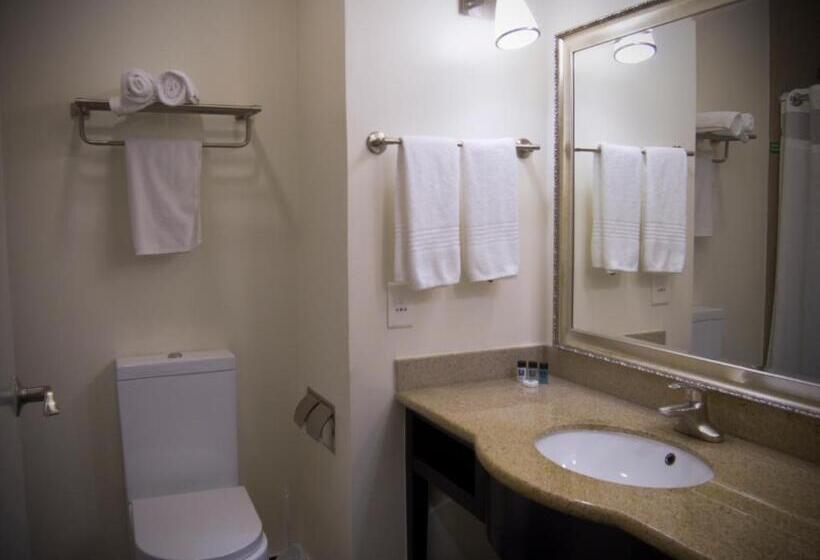 Стандартный Номер Кровать Кинг, Hampshire Hotel   Ballito