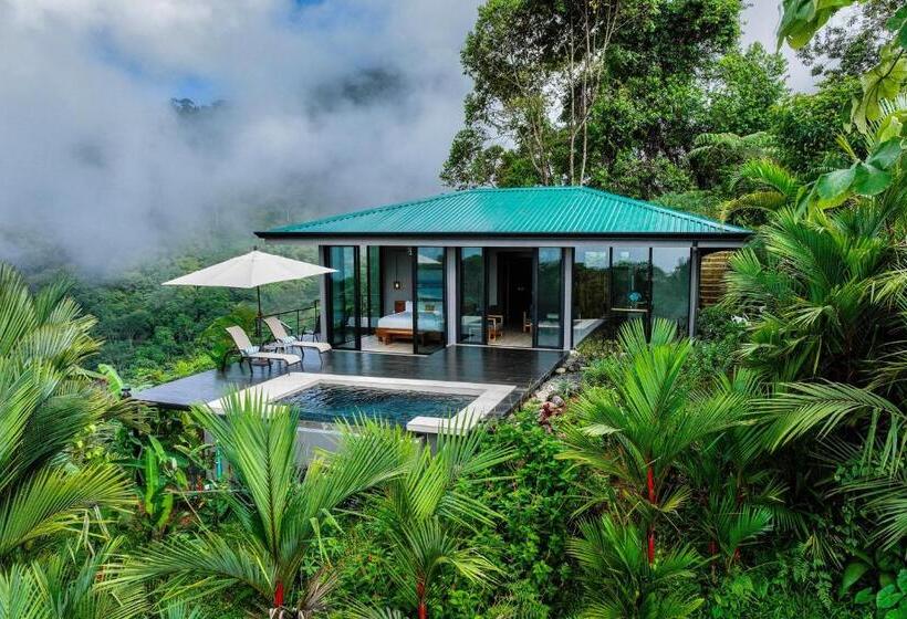 سوئیت با تخت بزرگ, Rancho Pacifico   Boutique Hotel For Adults