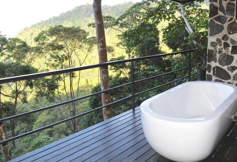 سوییت جونیور با چشم‌انداز دریا, Rancho Pacifico   Boutique Hotel For Adults