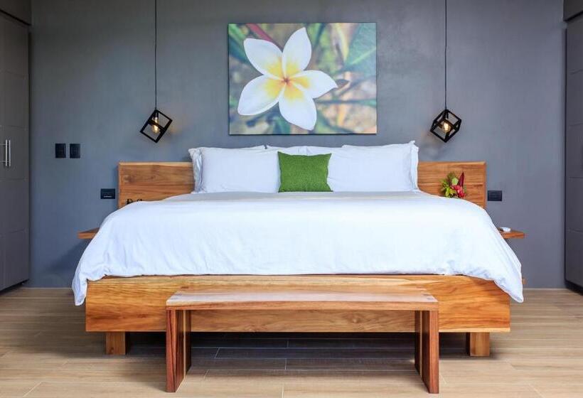 سوییت سوپریور با چشم‌انداز دریا, Rancho Pacifico   Boutique Hotel For Adults