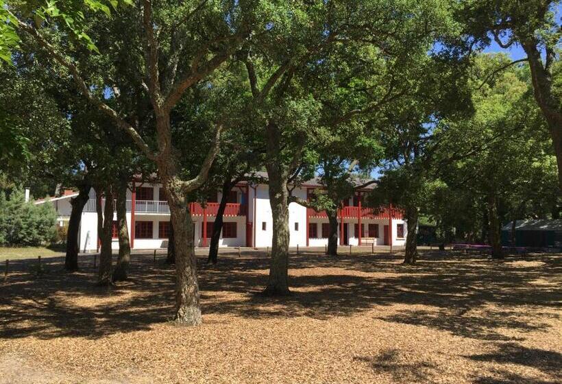 اتاق اکونومی, Nouvel Horizon Guest Center Landes