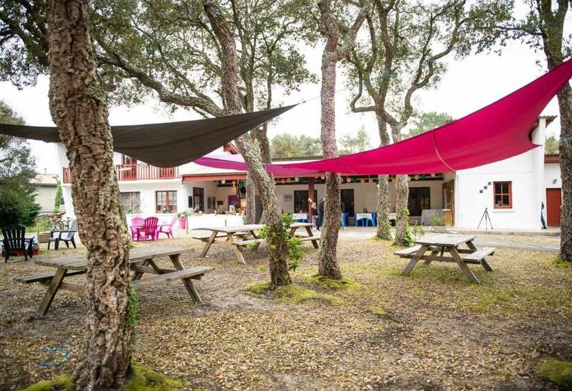 اتاق اکونومی, Nouvel Horizon Guest Center Landes