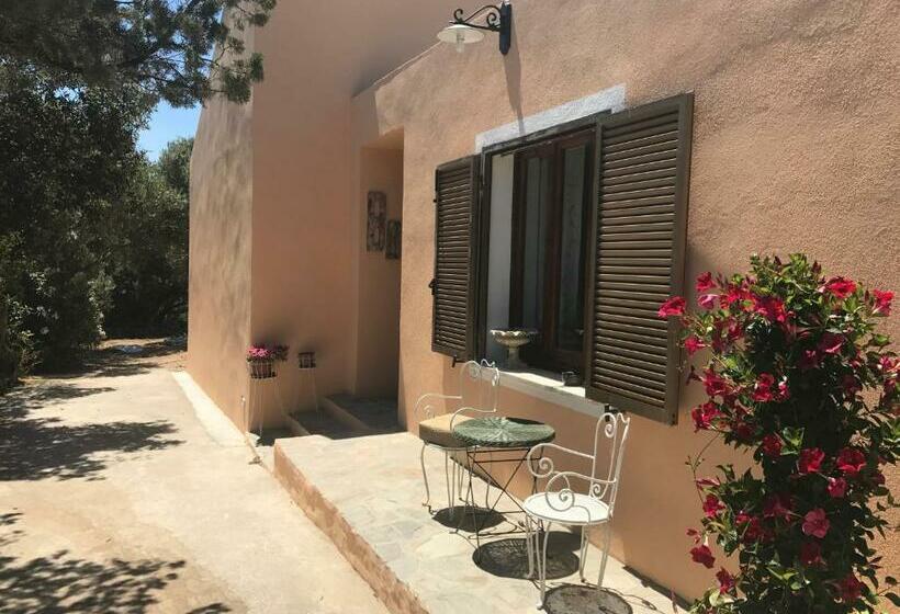 اتاق استاندارد, Le 25 Tartarughe