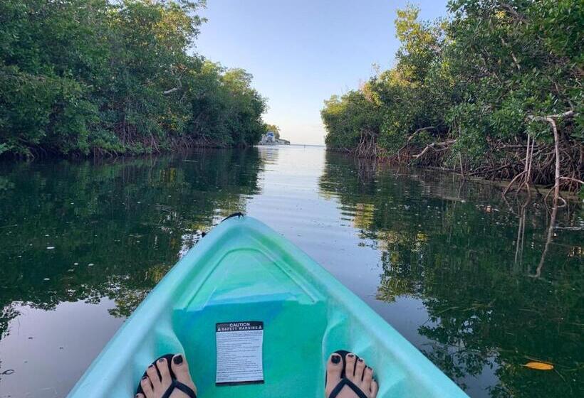اتاق لوکس, Coconut Cay Resort