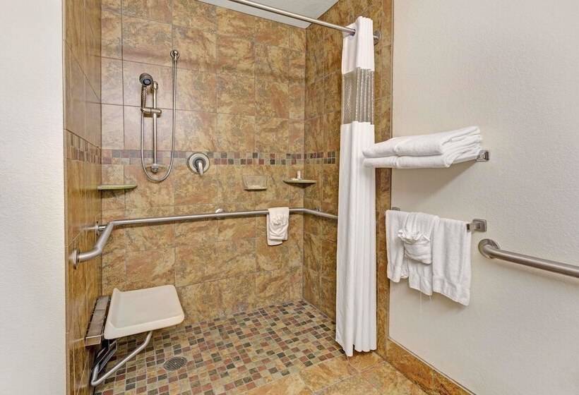 Номер Стандарт Адаптированный для Инвалидов, Microtel Inn & Suites Cheyenne