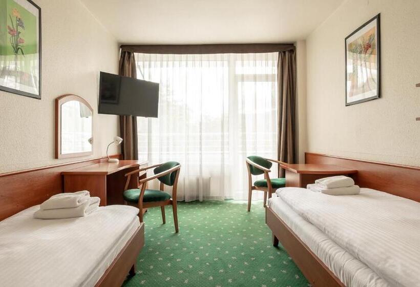 Quarto Estandar, Wilga