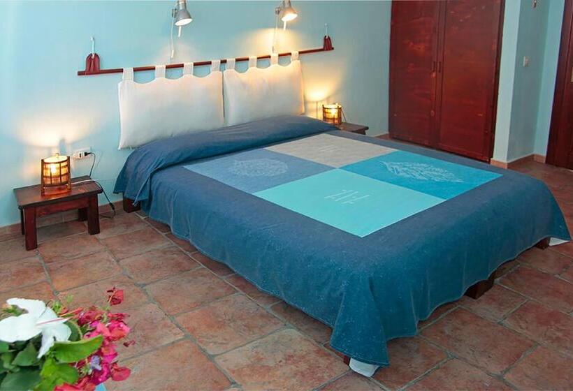 Номер Стандарт, Alba B&b