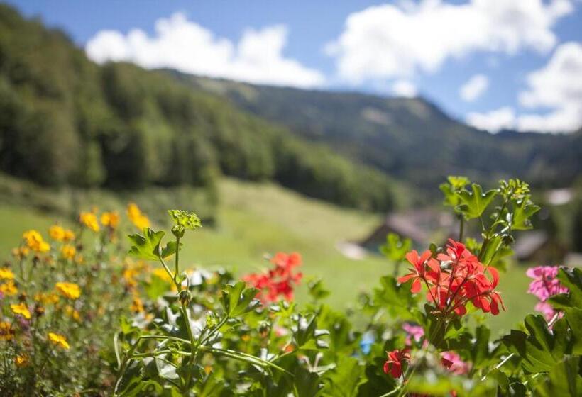 Номер Стандарт Вид на Сад, Bio Bauernhof Vordergrubenbach   Familie Oberascher