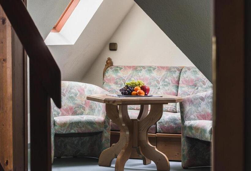 Номер Дюплекс, Berghotel Friedrichshöhe
