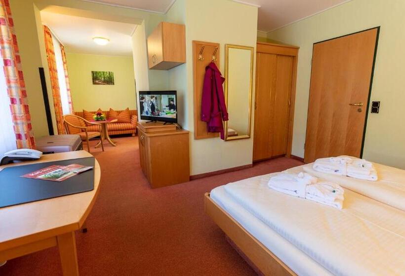 Номер Стандарт, Kishotel Am Kurpark