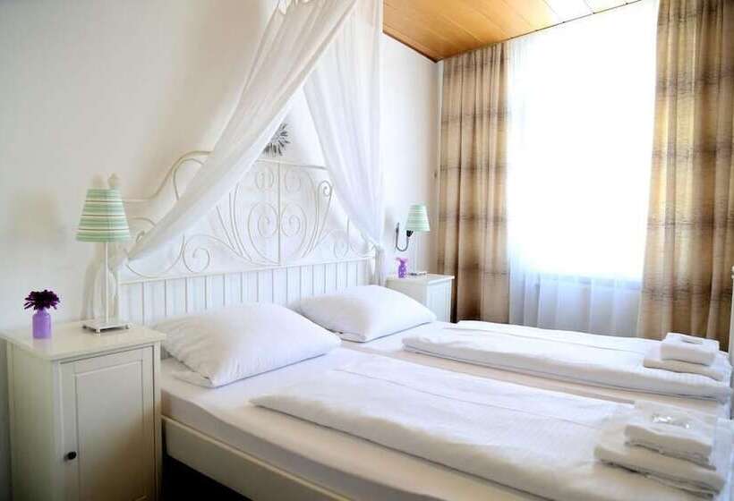 اتاق استاندارد سه نفره, Hunsrücker Hof
