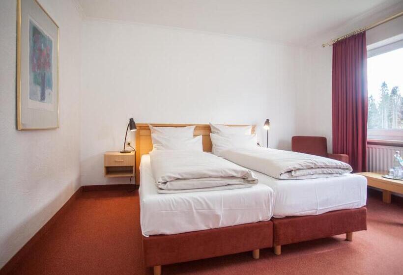 Quarto Estandar, Der Schöne Asten   Resort Winterberg