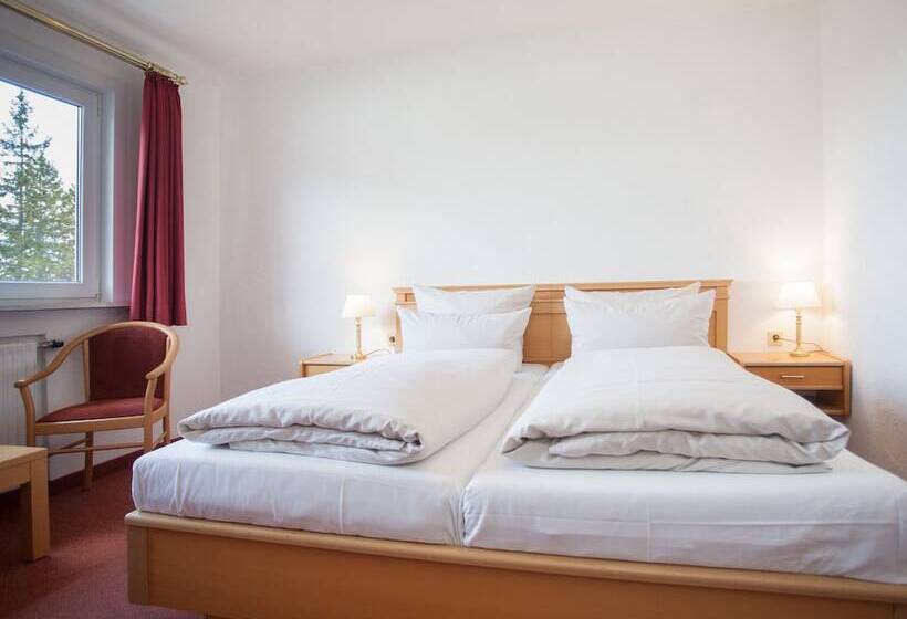 Quarto Estandar, Der Schöne Asten   Resort Winterberg