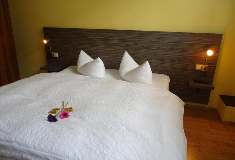 Номер Стандарт, Stadthotel Regensburg