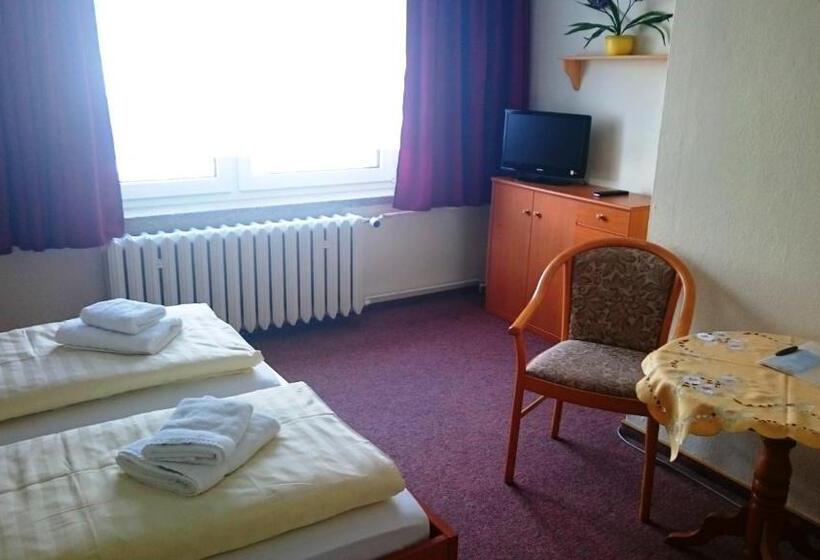 Номер Стандарт Индивидуальный, Ferienhotel Zwotatal