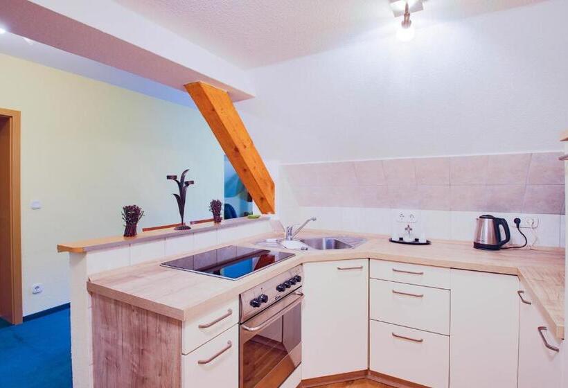 Апартаменты 1 Спальня, Ferien Hotel Villa Südharz