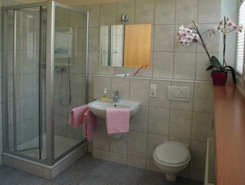Номер Стандарт Трехместный, Econo Motel Goelzer