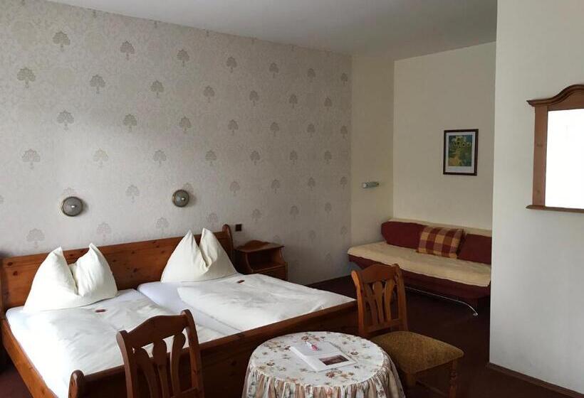 Трежместный Номер Economy, Payerbacherhof