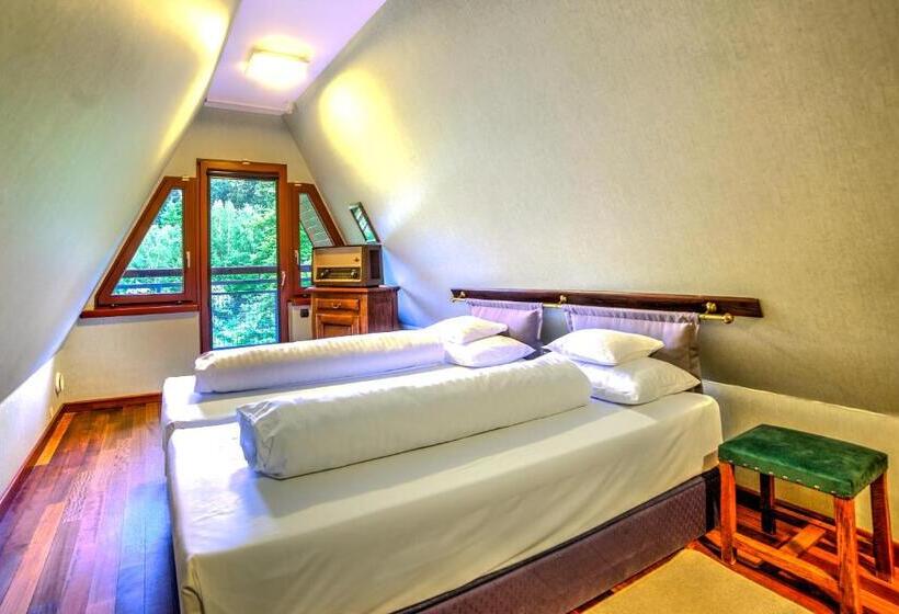 Апартаменты 1 Спальня, Jelenia Struga Medical Spa