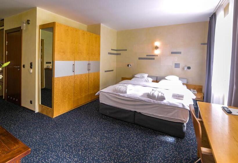 Номер Superior, Jelenia Struga Medical Spa